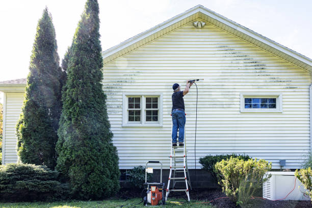 Best House Exterior Washing  in Asbury, IA